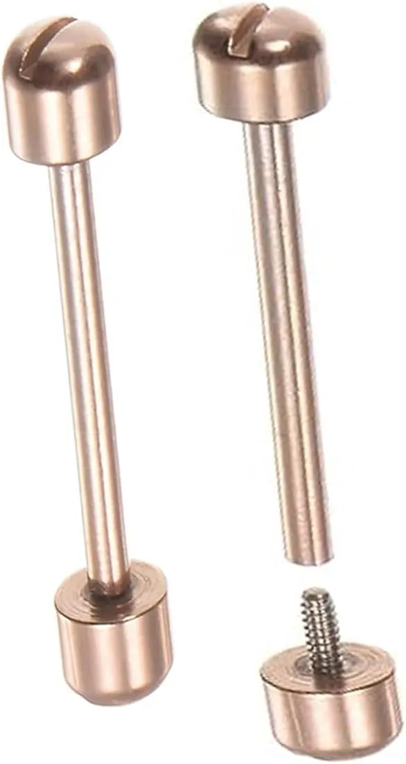 Internal Diameter 22mm Watch Screw Rod, Stainless Steel Screw Strap Watch Connection Rod Screw Pin, for Watch Strap Watch Repair Tool Silver - (2 Pcs)