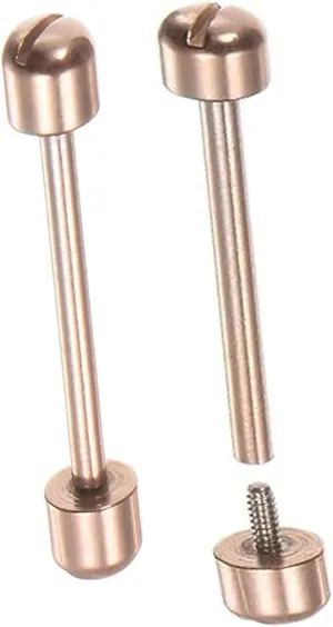 Internal Diameter 22mm Watch Screw Rod, Stainless Steel Screw Strap Watch Connection Rod Screw Pin, for Watch Strap Watch Repair Tool Silver - (2 Pcs)